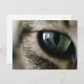 キャッツアイ葉書 ポストカード (正面/裏面)