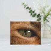 キャッツアイ葉書 ポストカード (スタンド正面)