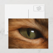 キャッツアイ葉書 ポストカード (正面/裏面)