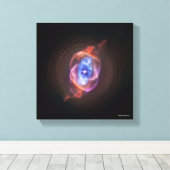 キャッツアイ キャンバスプリント (インサイチュ (ウッドフロア))