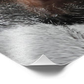 キャッツアイ フォトプリント            (角)