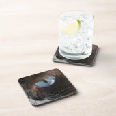 キャッツアイ.JPG コースター (右側)