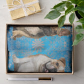 キャッツアンドドッグズ獣医ティッシュペーパー 薄葉紙 (ギフト)