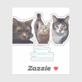 キャッツカスタムカットビニールのシール シール (シート)