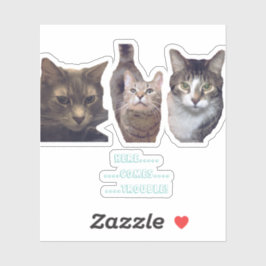 キャッツカスタムカットビニールのシール シール