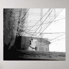 キャッツクレードル ポスター