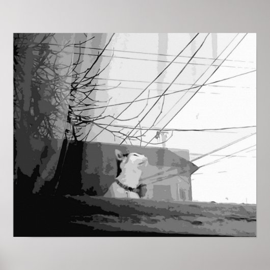 キャッツクレードル ポスター (正面)