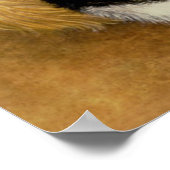 キャッツクレードル ポスター (角)