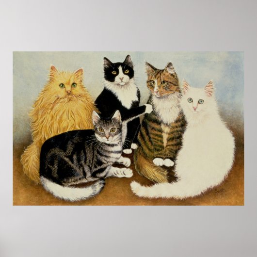 キャッツクレードル ポスター (正面)