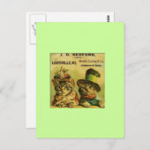 キャッツファンシー ポストカード (正面/裏面)