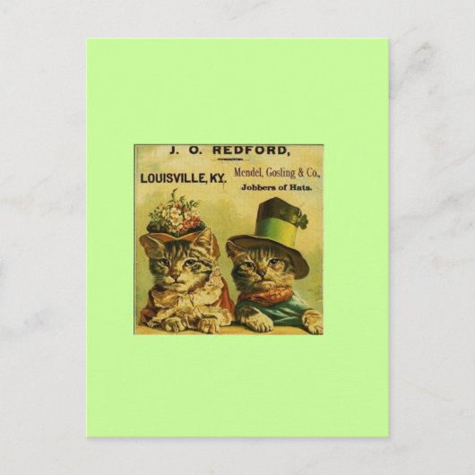 キャッツファンシー ポストカード (正面)