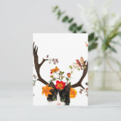 キャッツホーン ポストカード (スタンド正面)