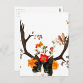 キャッツホーン ポストカード (正面/裏面)