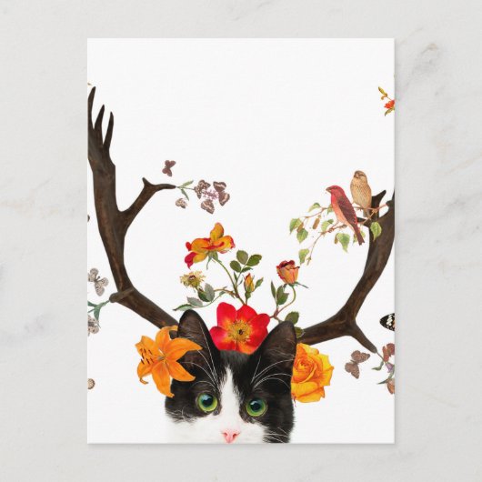 キャッツホーン ポストカード (正面)