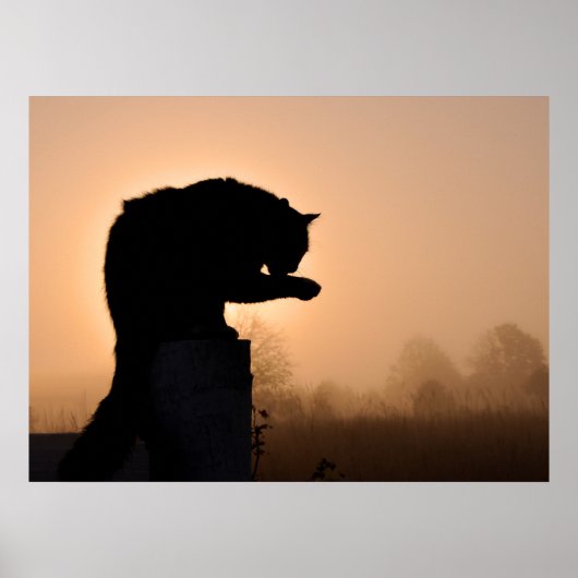 キャッツモーニングバス ポスター (正面)