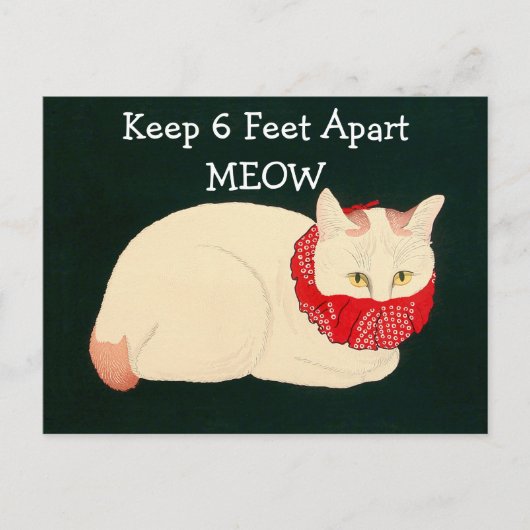 キャッツ保6足アパート ポストカード (正面)