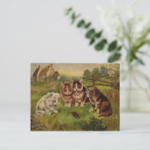 キャッツ遊とカブトムシヴィンテージ1900のポストカード ポストカード (スタンド正面)