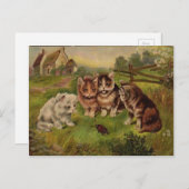 キャッツ遊とカブトムシヴィンテージ1900のポストカード ポストカード (正面/裏面)