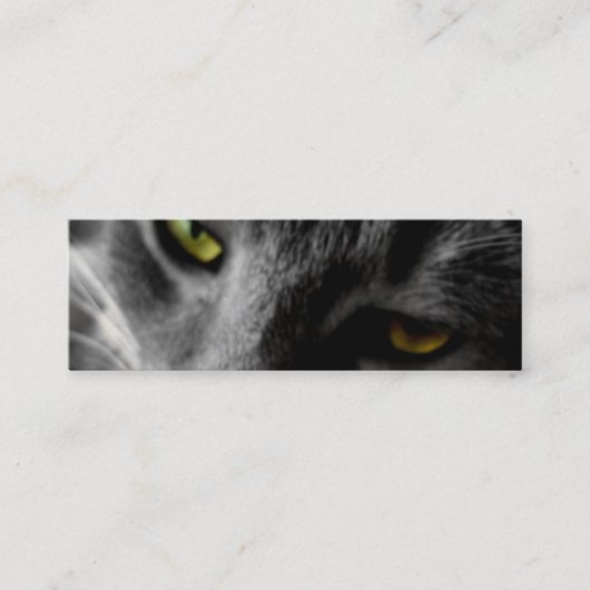 キャッツ・アイのプロフィールカード スキニー名刺 (正面)