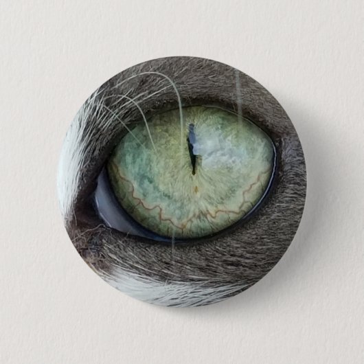 キャッツ・アイの上で閉めて下さい 缶バッジ (正面)