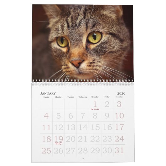 キャッツ・アイ カレンダー (1月 2026)