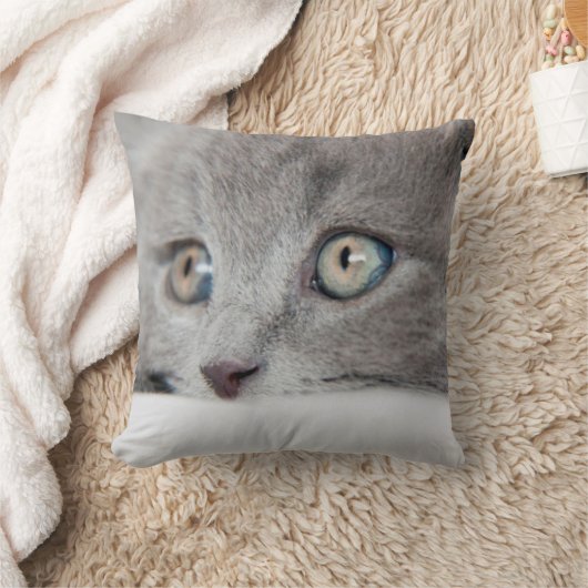キャッツ・アイ クッション (ブランケット)