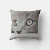 キャッツ・アイ クッション (裏面)