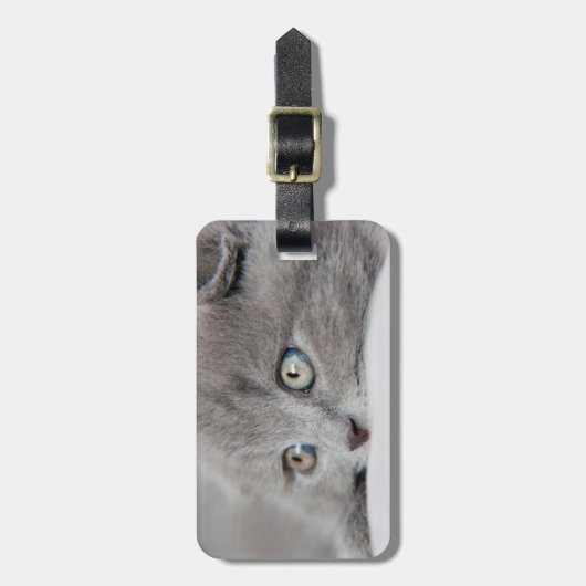 キャッツ・アイ ラゲッジタグ (正面縦)