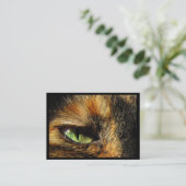 キャッツ・アイATC 名刺 (スタンド正面)