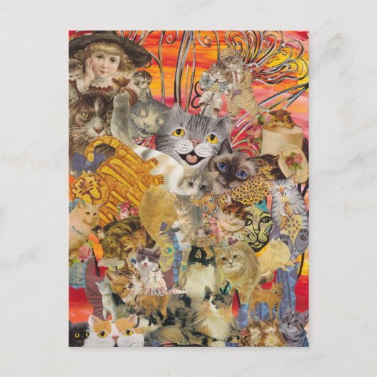 キャッツ・ア・ポカード ポストカード (正面)