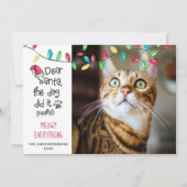 キャットおもしろいことわざブライトホリデーライトフォト シーズンカード (正面)