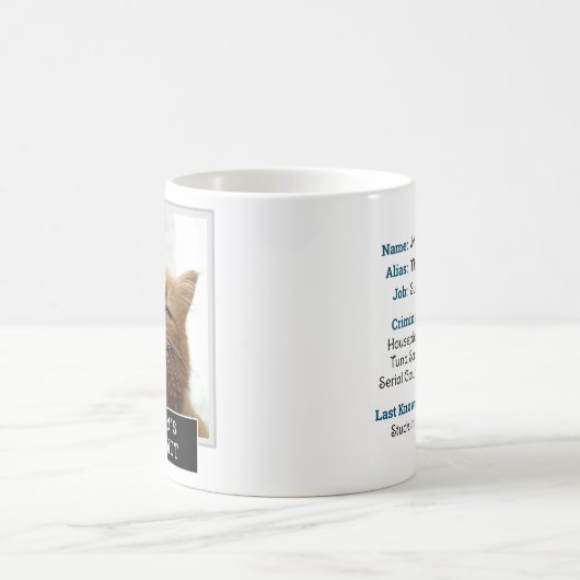 キャットおもしろいノベルティムグショットパーソナライズされたフォト文字 コーヒーマグカップ (中央)