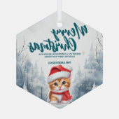 キャットおもしろい子猫メリークリスマスツリー雪ホリデーパーティー ガラスオーナメント (裏面)