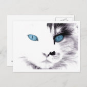 キャットアイズはがき ポストカード (正面/裏面)