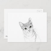 キャットアイズアペンシルスケッチ ポストカード (正面/裏面)