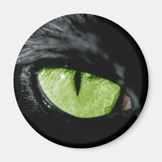 キャットアイ マグネット (正面)