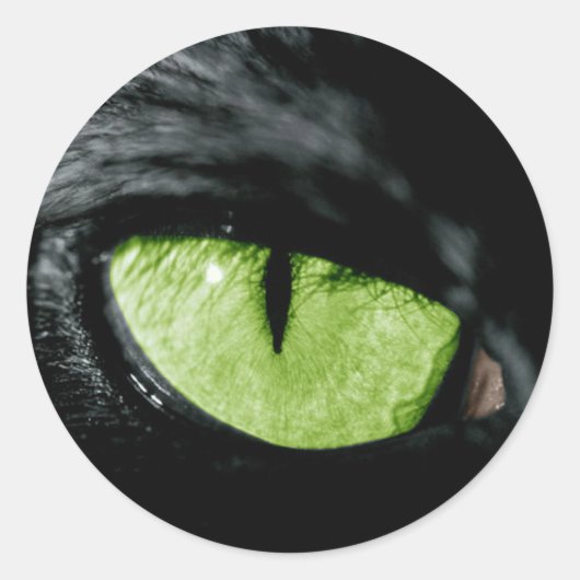 キャットアイ ラウンドシール (正面)