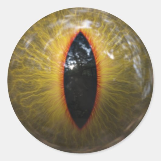 キャットアイ ラウンドシール (正面)