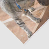 キャットアンドホースフレンズ 薄葉紙 (詳細)