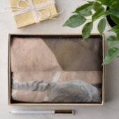 キャットアンドホースフレンズ 薄葉紙 (ギフト)