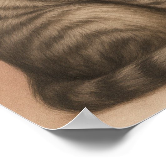 キャットア生まれートサッシーファッションキャットウォールを照らす ポスター (角)