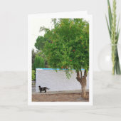 キャットインガーデンポートレート カード (正面)