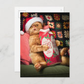 キャットインクルードエッグノグ インビテーションポストカード (正面/裏面)