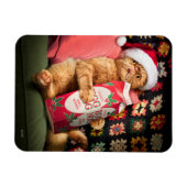 キャットインクルードエッグノグ マグネット (横)