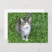 キャットインクローバーことわざ ポストカード (正面/裏面)