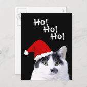 キャットインサンタハットホリデー シーズンポストカード (正面/裏面)