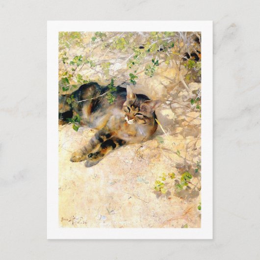 キャットインザサンシャインブルーノリレジェフォス ポストカード (正面)