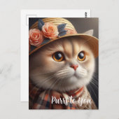 キャットインストローハット猫好きはがき ポストカード (正面/裏面)