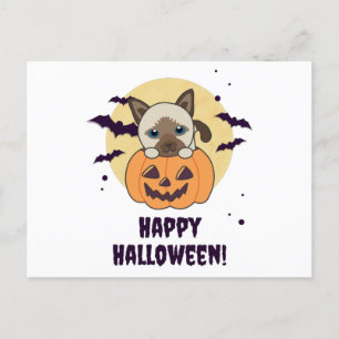 キャットインパンプキンスイートキャッツハッピーハローウィン ポストカード