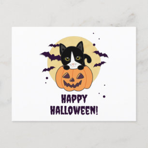キャットインパンプキンスイートキャッツハッピーハローウィン ポストカード